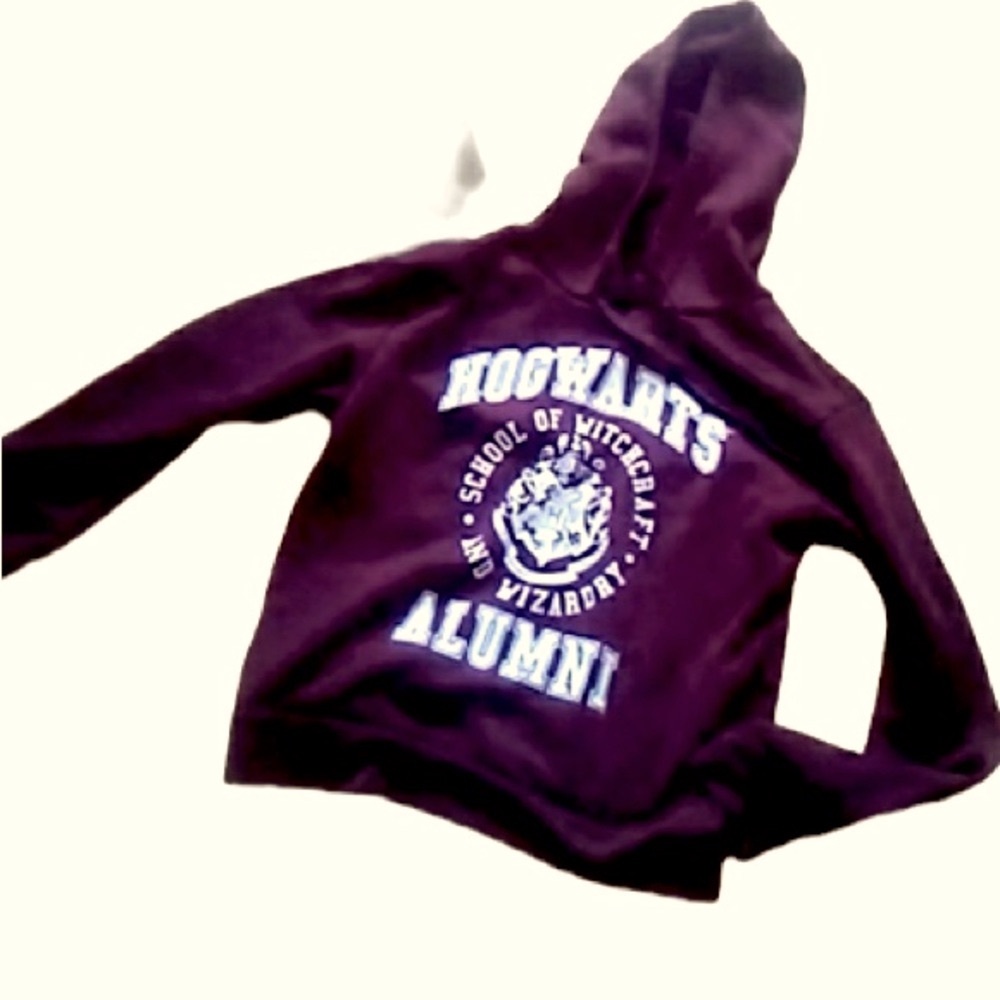 Harry Potter HOGWART”S School of Witchcraft & Wizardry Alumni Hoodie!!! Size M